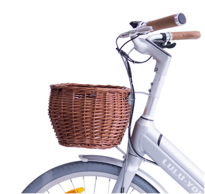 Luluyoung-Ebike T2 silver