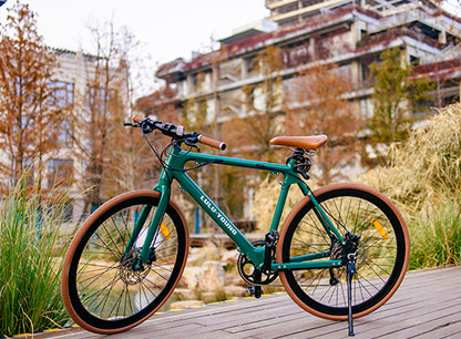 Luluyoung-Ebike RZ1 Saphirgrün