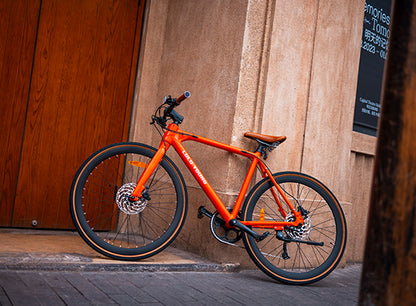 Luluyoung-Ebike RN1 Amber red