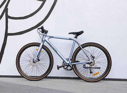 Luluyoung-Ebike RN1 Astral blau