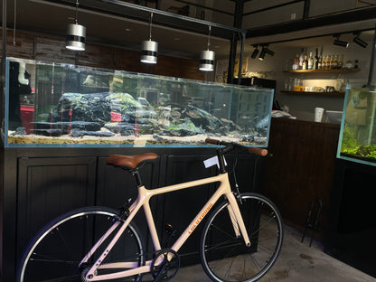 luluyoung Carbon Bike C1 light brown