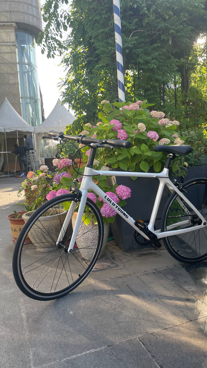 luluyoung Carbon Bike C1 light brown