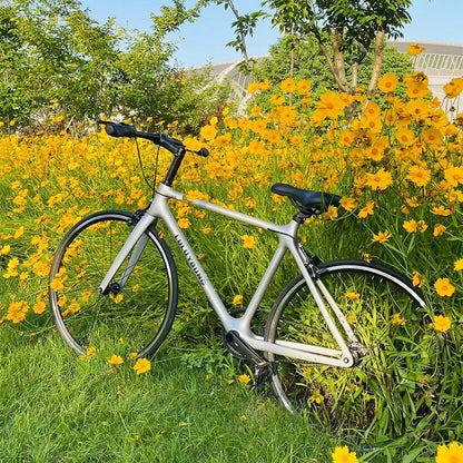luluyoung carbon bike C1 Grey