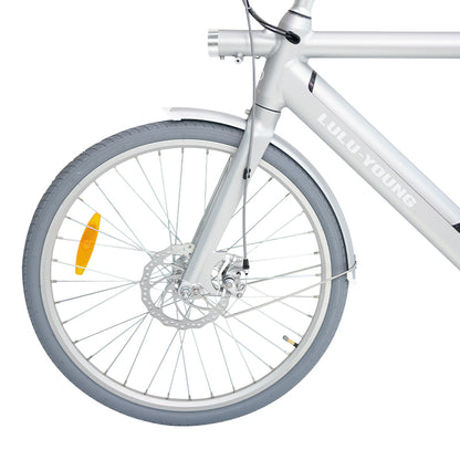 Luluyoung-Ebike T1 Space silver