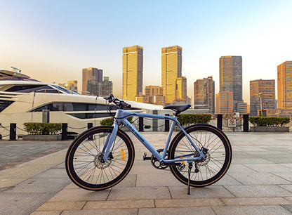 Luluyoung-Ebike RN1 Astral blau