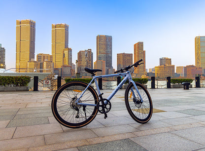 Luluyoung-Ebike RN1 Astral blau