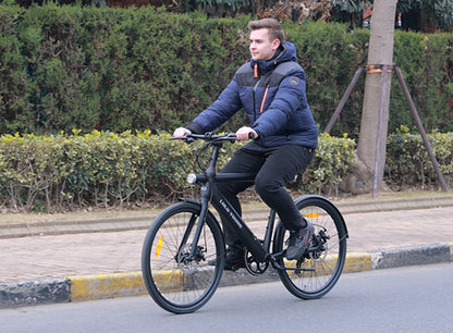 Luluyoung-Ebike T1 Dark black