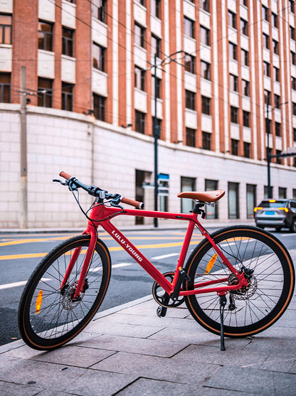 Luluyoung-Ebike RN1 Amber red
