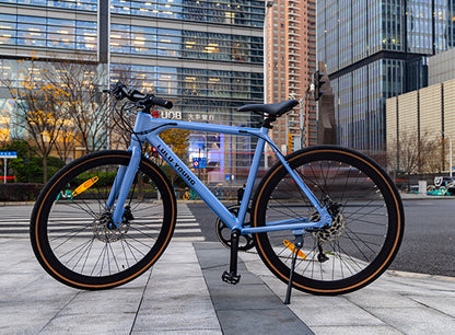 Luluyoung-Ebike RN1 Astral blau