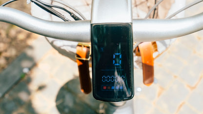 Luluyoung-Ebike T2 silver