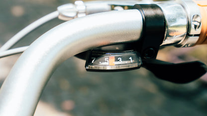 Luluyoung-Ebike T2 silver