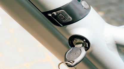 Luluyoung-Ebike T2 silver