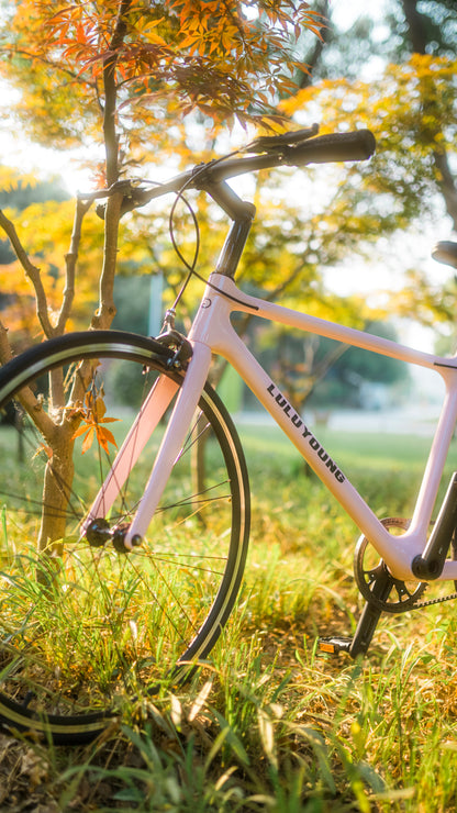 luluyoung carbon bike C1 Grey