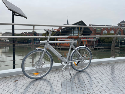 Luluyoung-Ebike T1 Space silver
