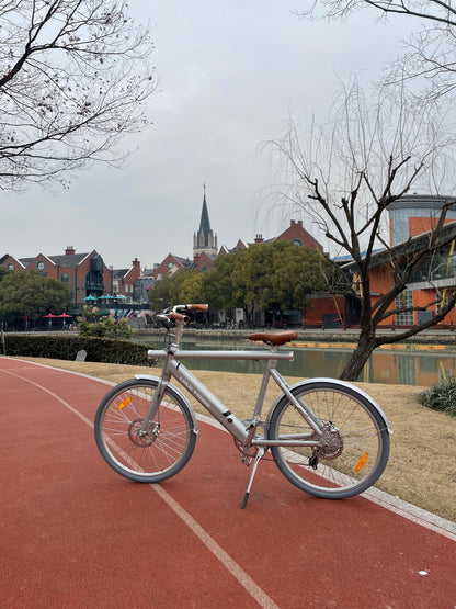 Luluyoung-Ebike T1 Space silver
