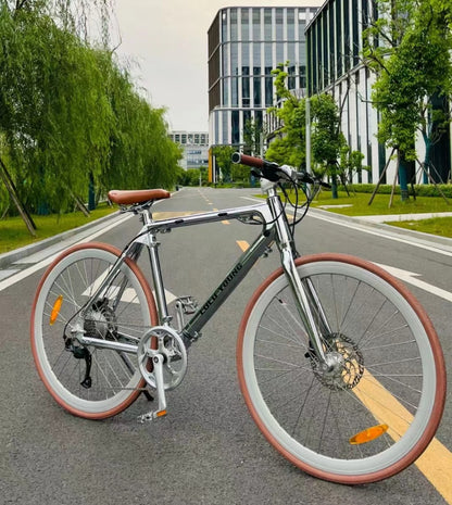 Luluyoung-Ebike RZ1 Space silver Chain type