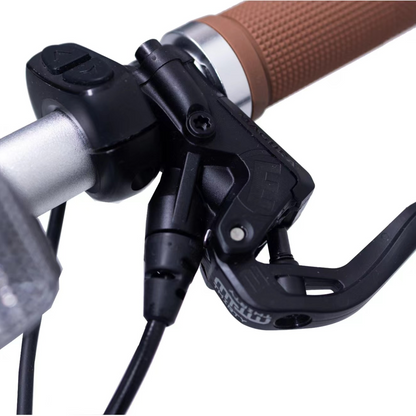 Luluyoung-Ebike RZ1 Space silver belt type