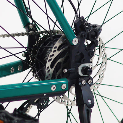 Luluyoung-Ebike RZ1 Saphirgrün