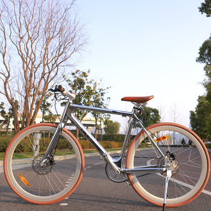 Luluyoung-Ebike RZ1 Space silver belt type
