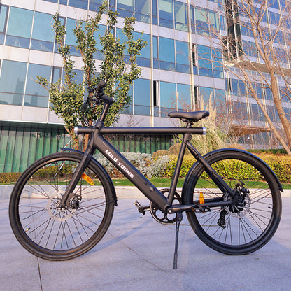 Luluyoung-Ebike T1 Dark black
