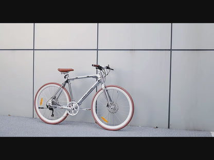 Luluyoung-Ebike RZ1 Space silver Chain type